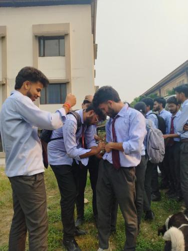 WhatsApp-Image-2024-06-20-at-19.43.40 228f72bb